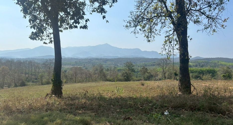 For sale land in Phrao, Chiang Mai