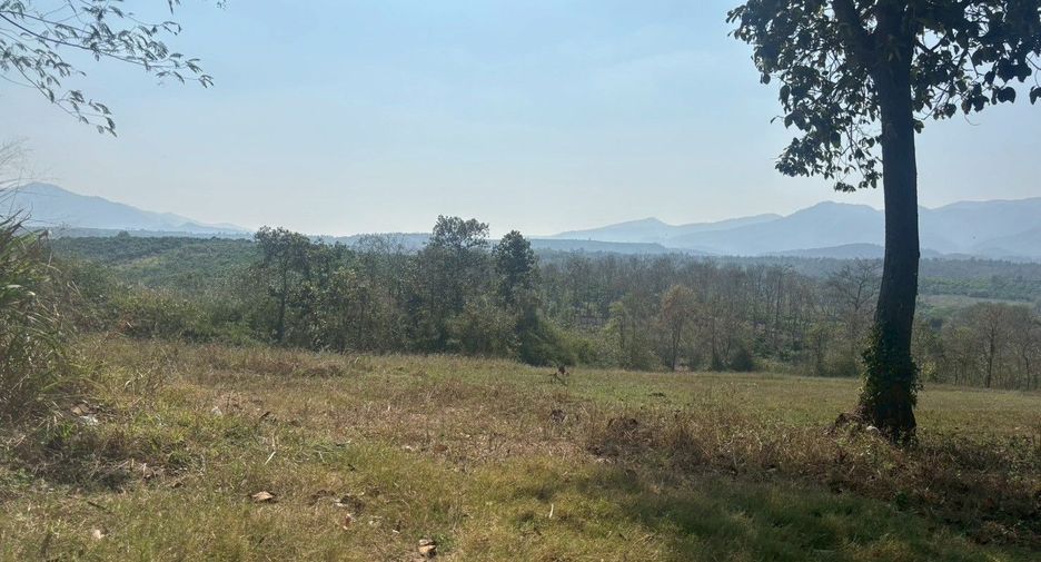 For sale land in Phrao, Chiang Mai