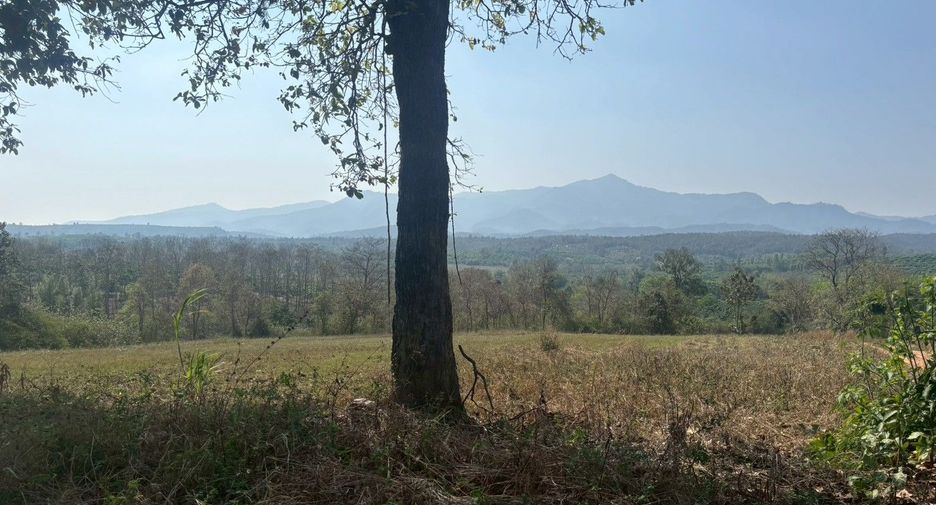 For sale land in Phrao, Chiang Mai