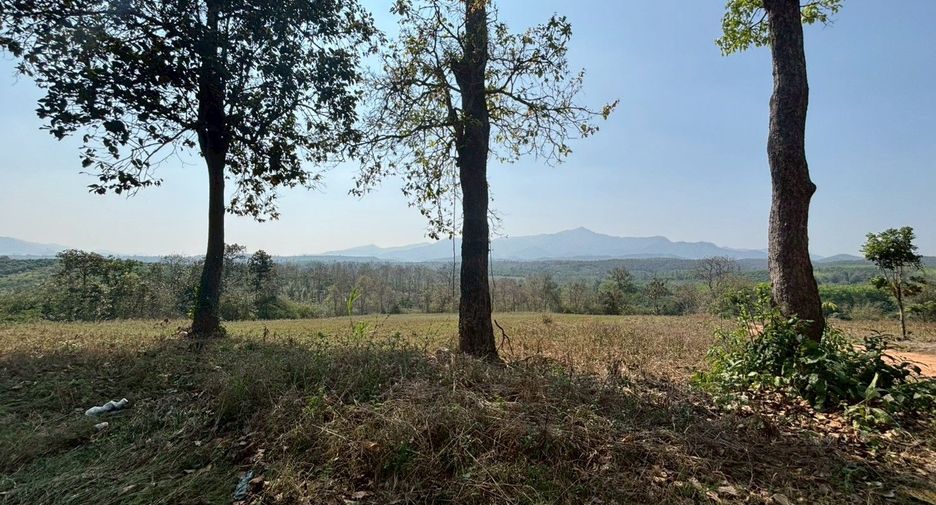 For sale land in Phrao, Chiang Mai
