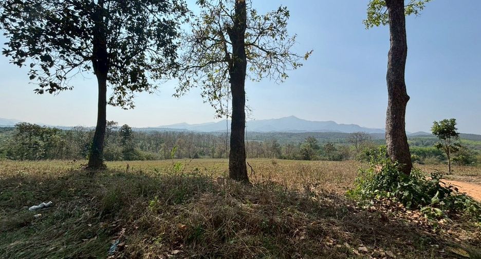For sale land in Phrao, Chiang Mai