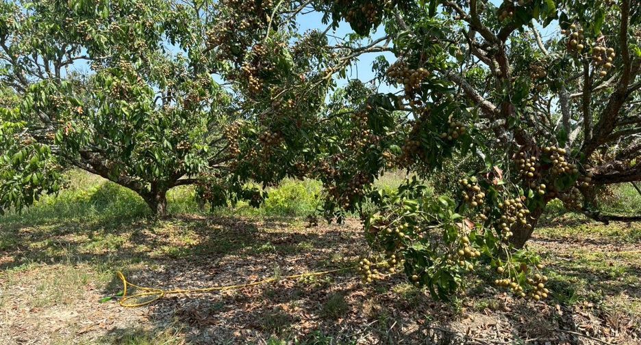 For sale land in Mueang Chiang Mai, Chiang Mai