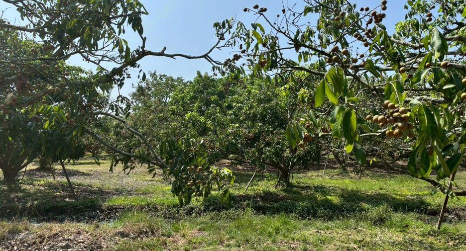 For sale land in Mueang Chiang Mai, Chiang Mai