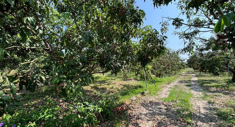For sale land in Mueang Chiang Mai, Chiang Mai