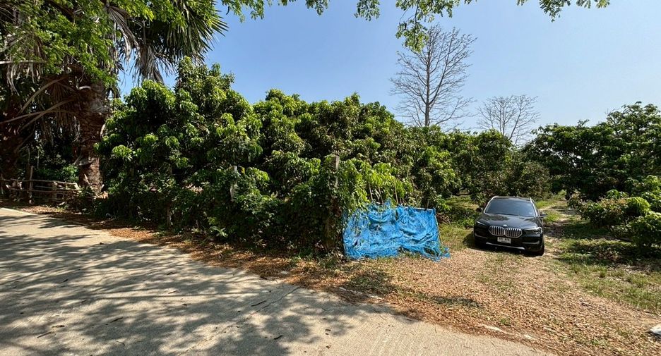 For sale land in Mueang Chiang Mai, Chiang Mai