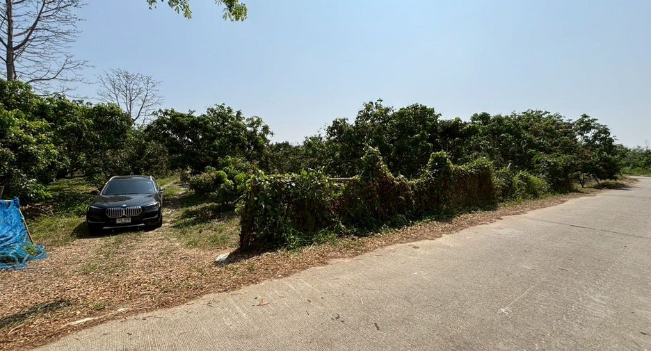 For sale land in Mueang Chiang Mai, Chiang Mai