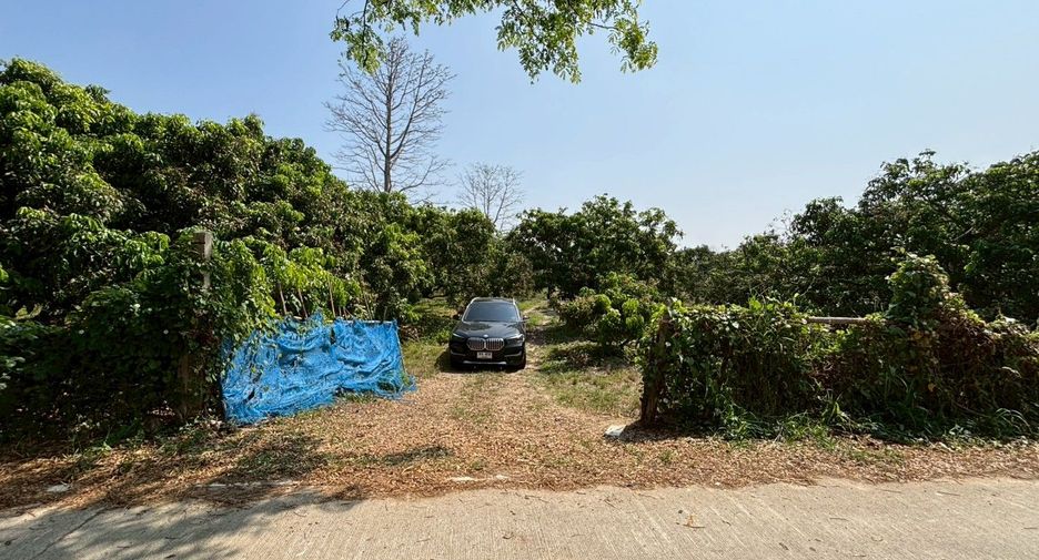 For sale land in Mueang Chiang Mai, Chiang Mai
