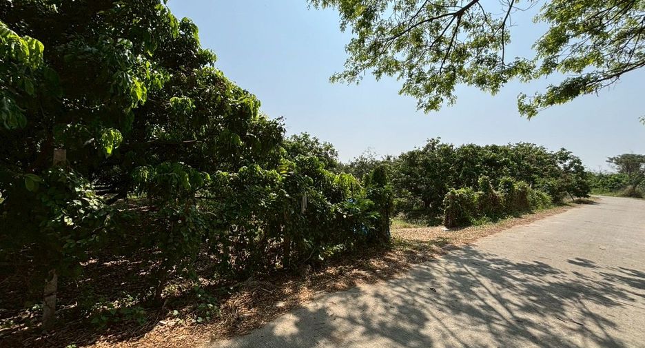 For sale land in Mueang Chiang Mai, Chiang Mai