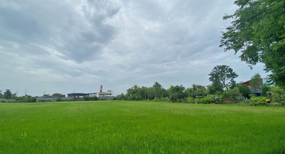 出售 土地 在 Sam Chuk, Suphan Buri