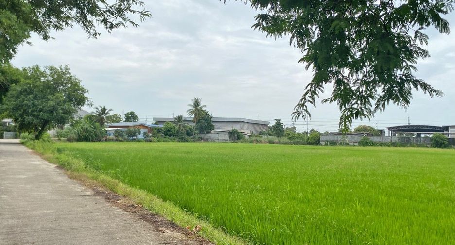 出售 土地 在 Sam Chuk, Suphan Buri