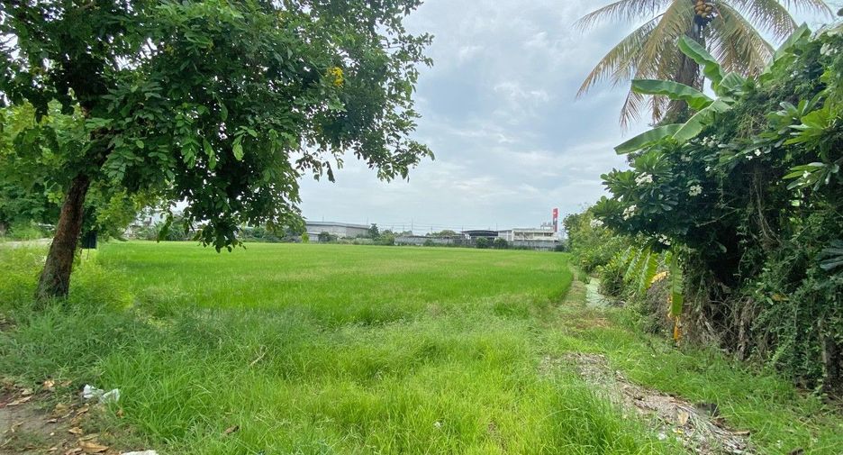 出售 土地 在 Sam Chuk, Suphan Buri