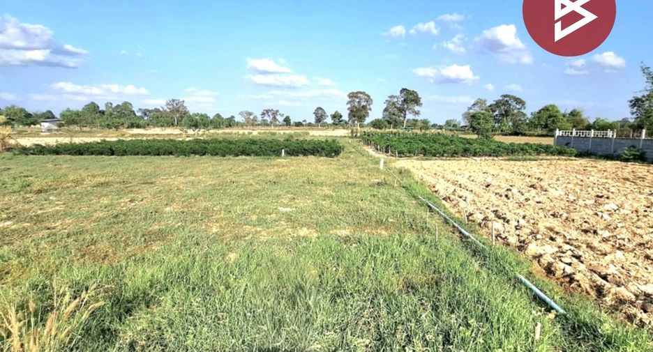 For sale land in Thawat Buri, Roi Et