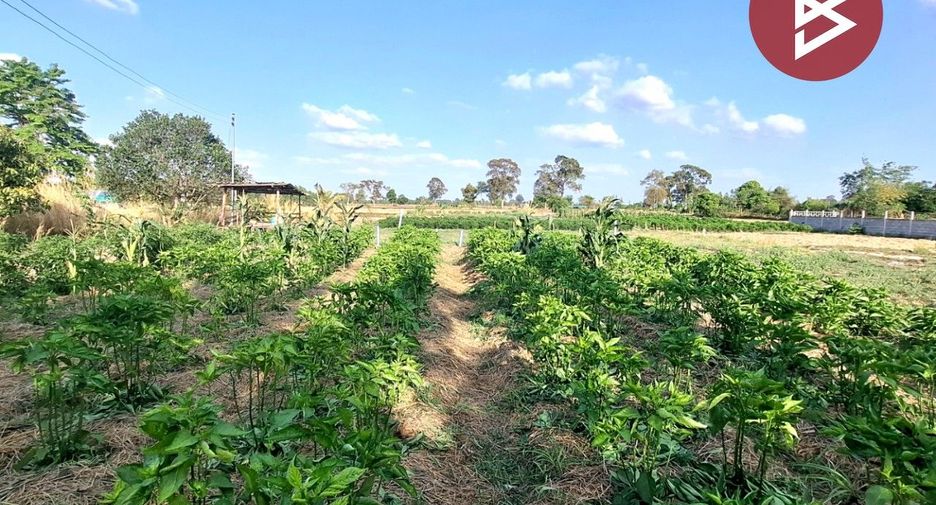For sale land in Thawat Buri, Roi Et