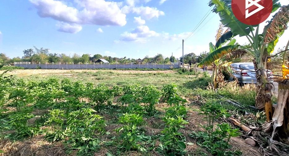 For sale land in Thawat Buri, Roi Et