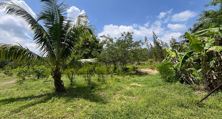 For sale land in Takua Thung, Phang Nga