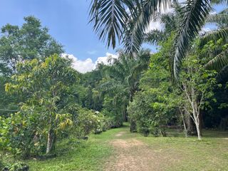 出售 土地 在 Takua Thung, Phangnga