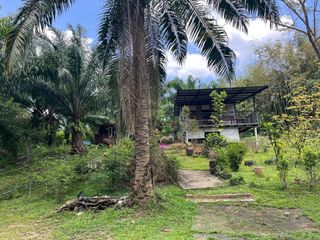 出售 土地 在 Takua Thung, Phangnga