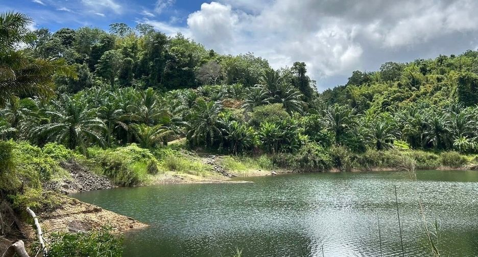 For sale land in Takua Thung, Phang Nga