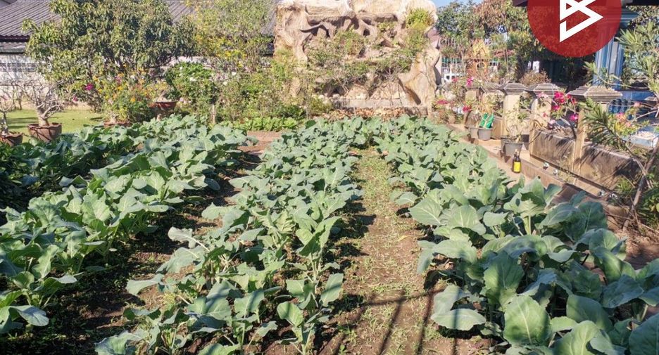 Terreno en venta en Mueang Lamphun, Lamphun