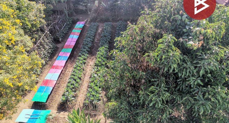 Terreno en venta en Mueang Lamphun, Lamphun