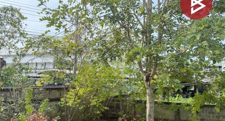 Terreno en venta en Mueang Lamphun, Lamphun