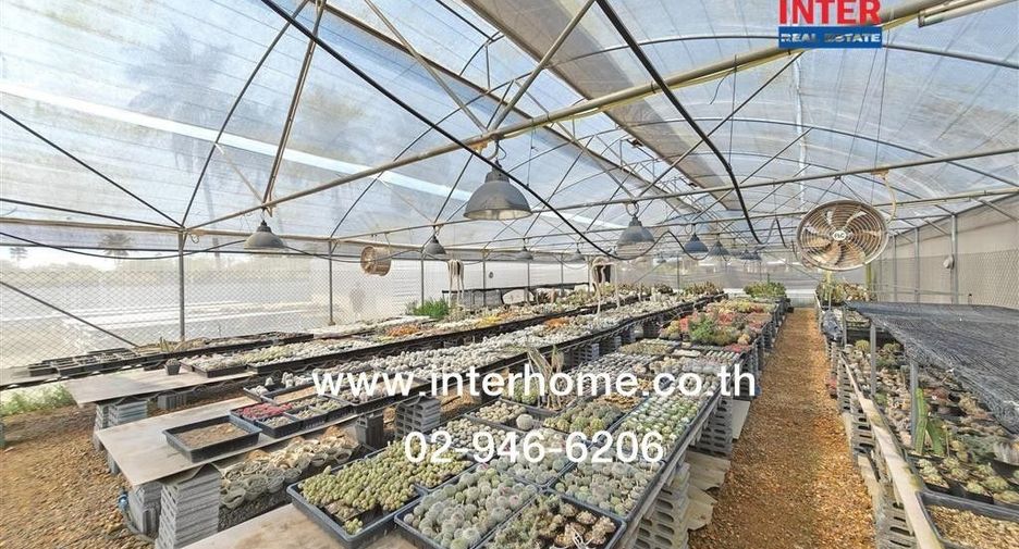 Продажа Участок в Kamphaeng Saen, Накхонпатхом