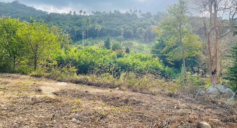 For rent land in Ko Samui, Surat Thani