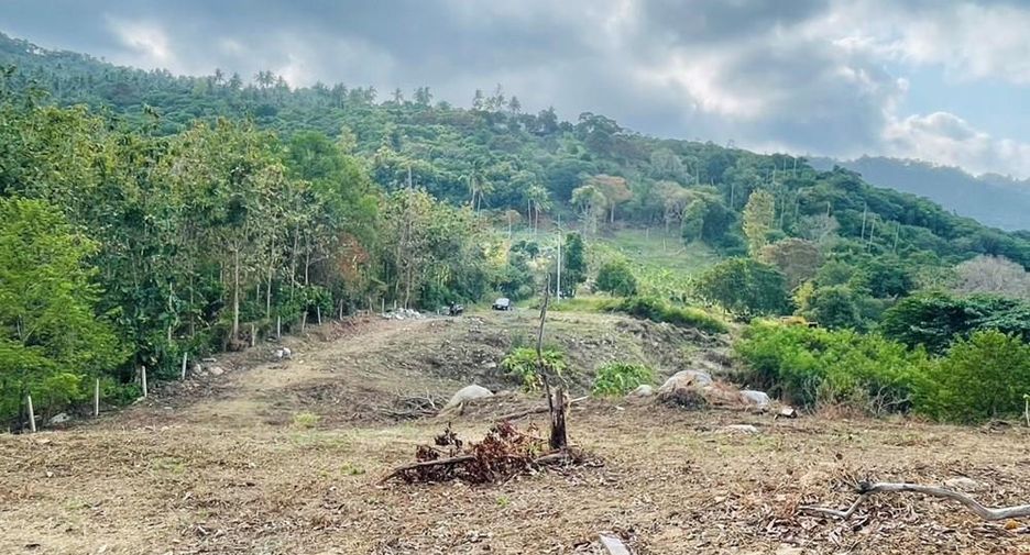 For rent land in Ko Samui, Surat Thani