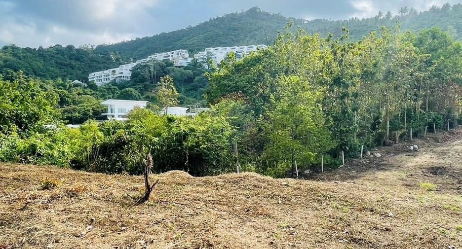 For rent land in Ko Samui, Surat Thani