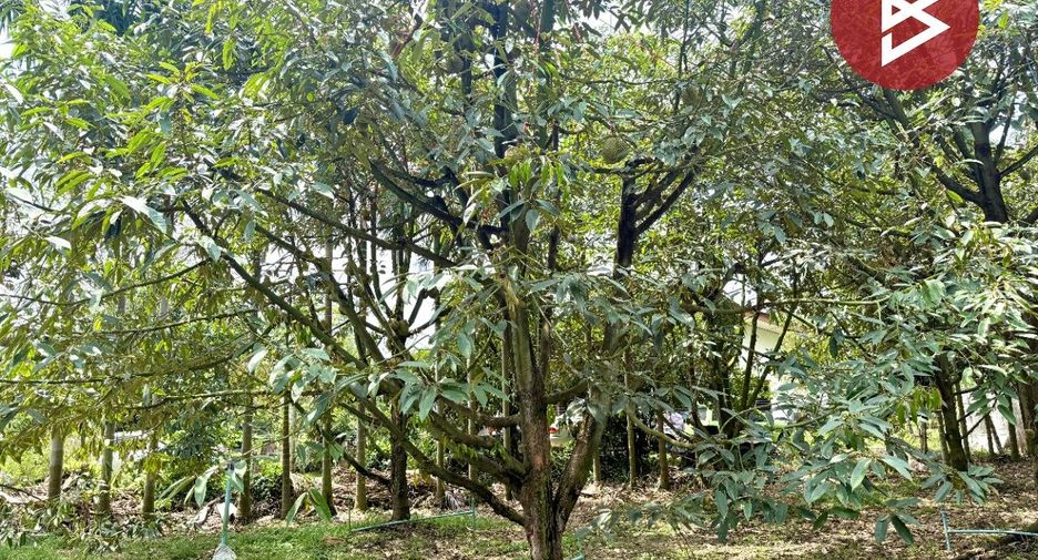 Grundstück zum Kauf in Mueang Chanthaburi, Chanthaburi