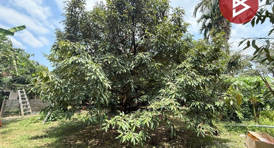 Grundstück zum Kauf in Mueang Chanthaburi, Chanthaburi