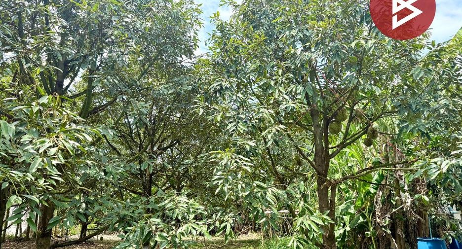 Grundstück zum Kauf in Mueang Chanthaburi, Chanthaburi