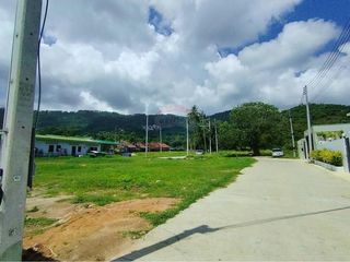 For sale land in Ko Samui, Surat Thani
