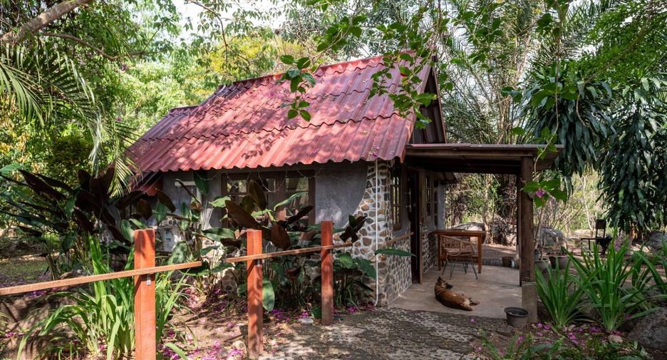 For sale 4 bedrooms house in Pai, Mae Hong Son