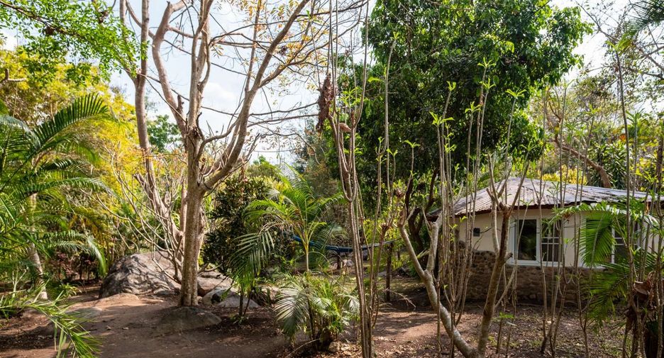 For sale 4 bedrooms house in Pai, Mae Hong Son