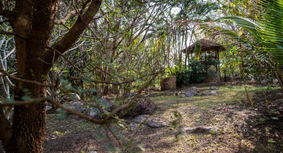 For sale 4 bedrooms house in Pai, Mae Hong Son