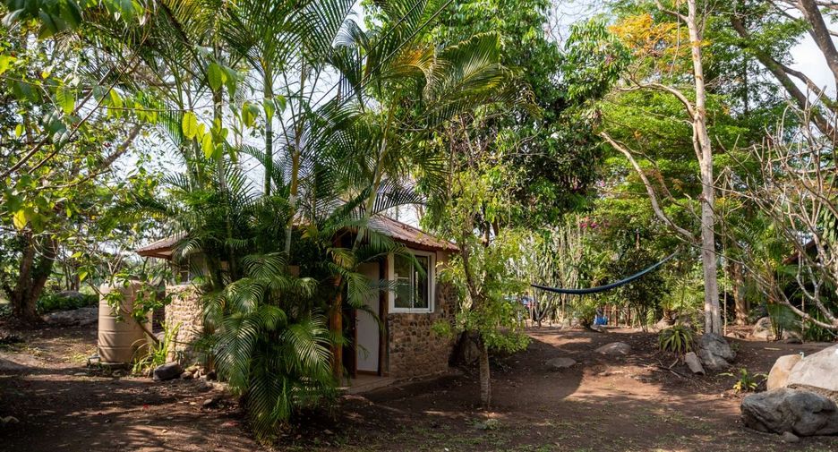 For sale 4 bedrooms house in Pai, Mae Hong Son