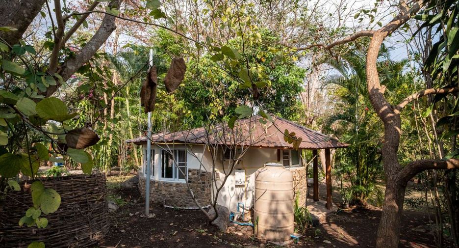 For sale 4 bedrooms house in Pai, Mae Hong Son