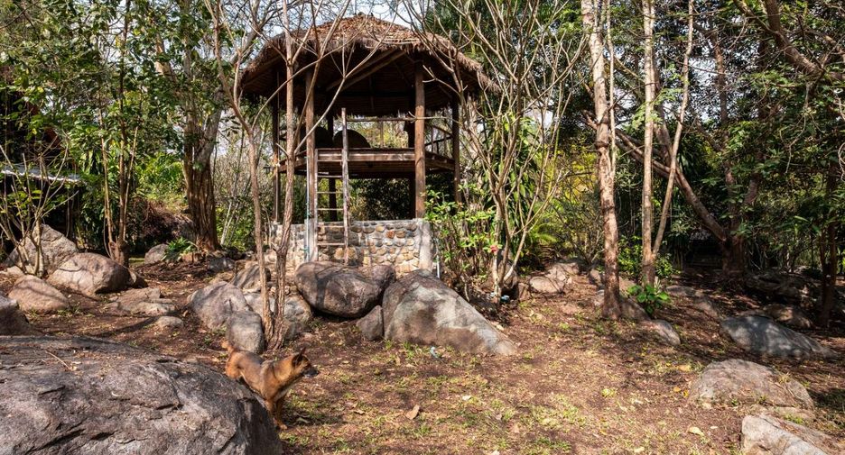 For sale 4 bedrooms house in Pai, Mae Hong Son