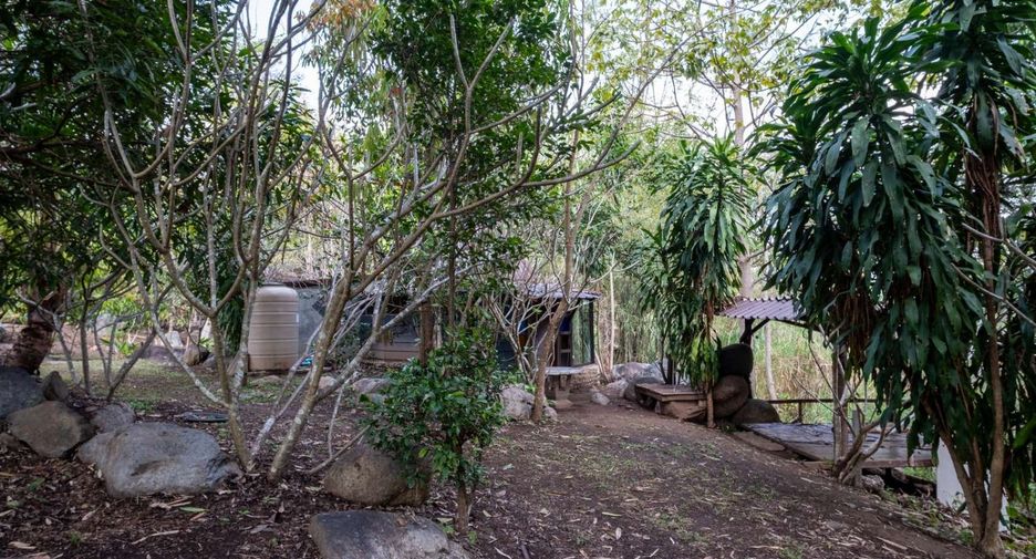 For sale 4 bedrooms house in Pai, Mae Hong Son