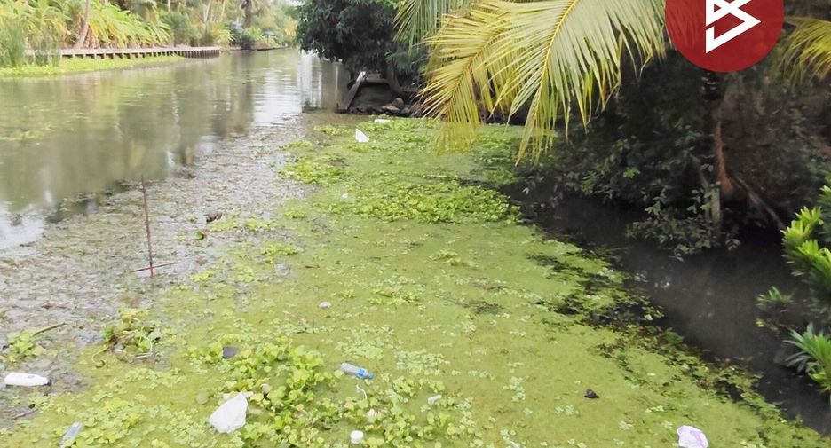 ขาย ที่ดิน ใน บางคนที, สมุทรสงคราม