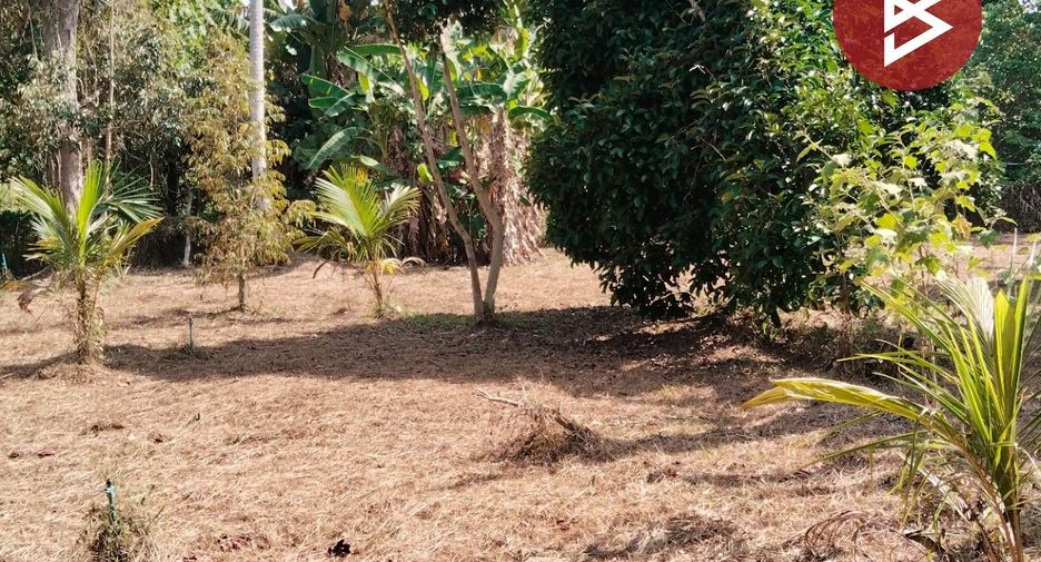 For sale land in Mueang Chumphon, Chumphon