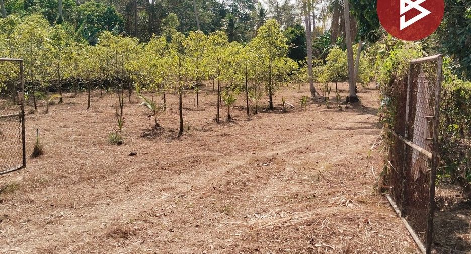 For sale land in Mueang Chumphon, Chumphon