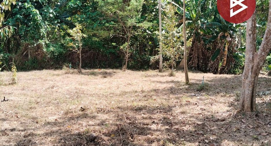 For sale land in Mueang Chumphon, Chumphon