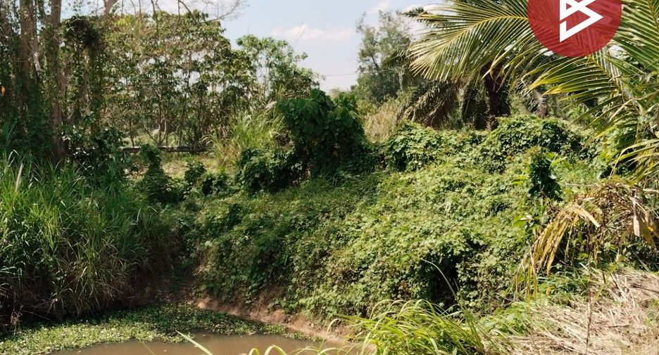For sale land in Mueang Chumphon, Chumphon