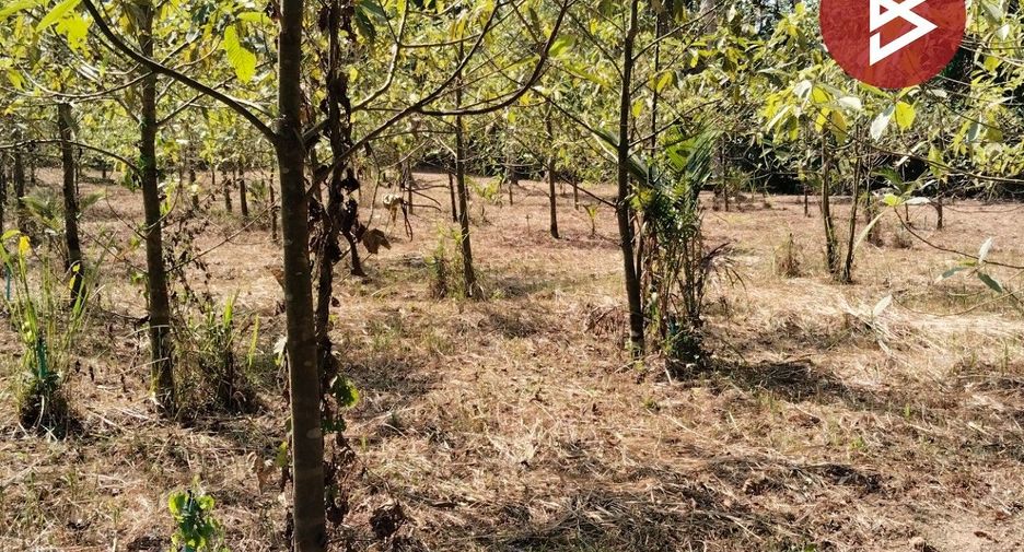 For sale land in Mueang Chumphon, Chumphon