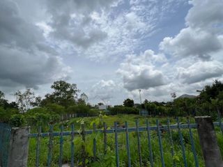 À vendre terrain à Phanat Nikhom, Chonburi