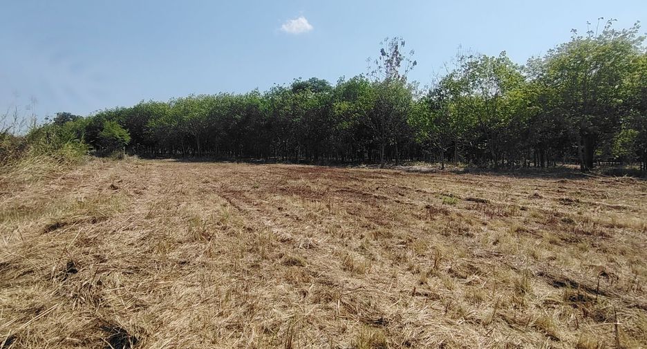 À vendre terrain à Hua Hin, Prachuap Khiri Khan