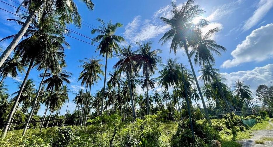 For sale 2 bedrooms house in Ko Samui, Surat Thani