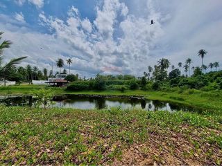 For sale land in Tha Sala, Nakhon Si Thammarat